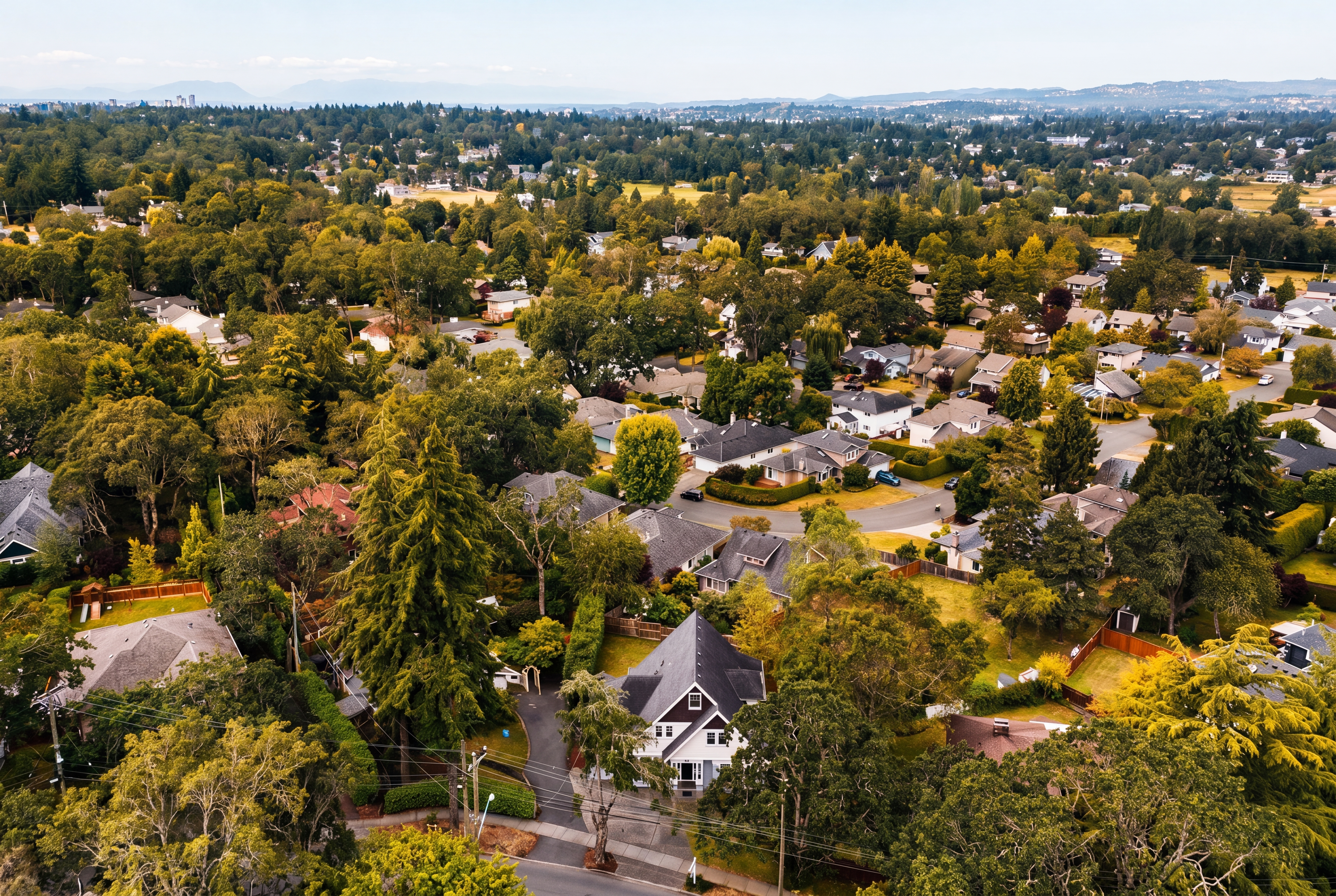 Aerial Video sample